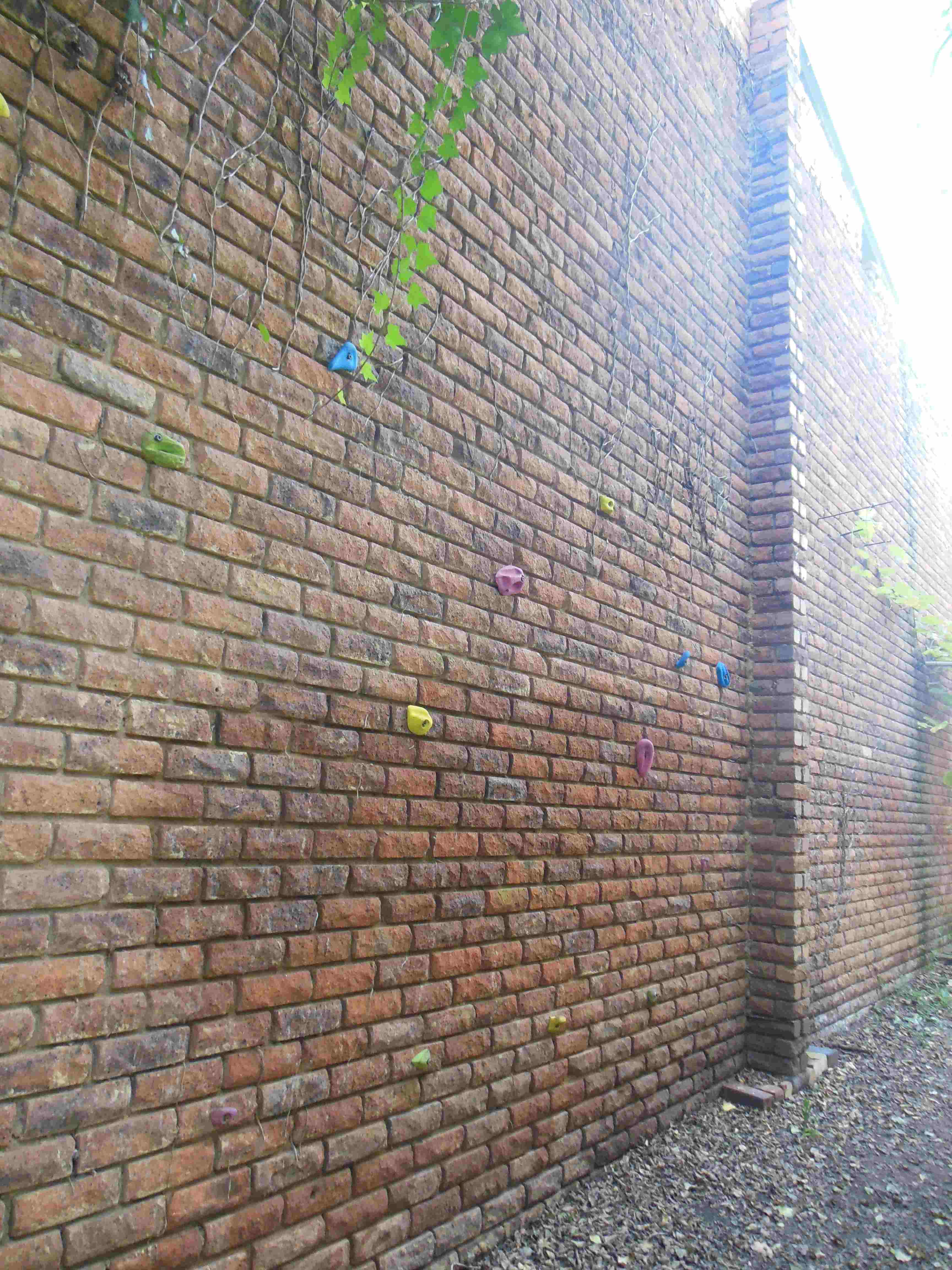 Klimmuur